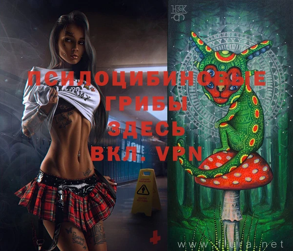метадон Беломорск