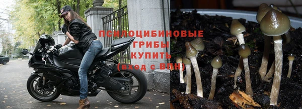метадон Беломорск