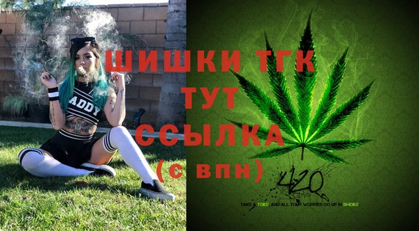 дмт Россошь