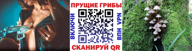 маркетплейс клад  мега ссылка  Первомайск  как найти   Псилоцибиновые грибы GOLDEN TEACHER 
